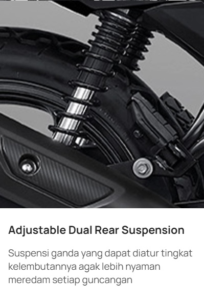 Adjustable Dual Rear Suspension